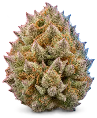 AI-generated illustration of a cannabis flower for the Candy Chrome page, not a photo of the strain