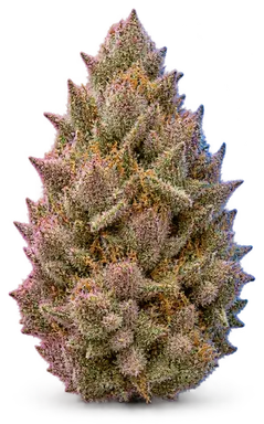 AI-generated illustration of a cannabis flower for the Candyland page, not a photo of the strain