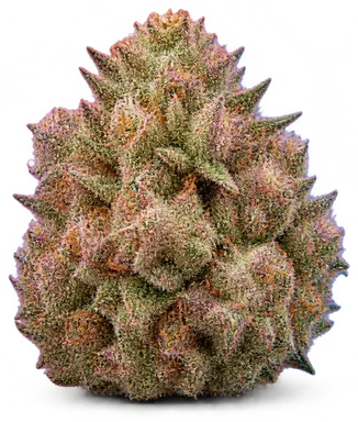 AI-generated illustration of a cannabis flower for the Candy Rain page, not a photo of the strain