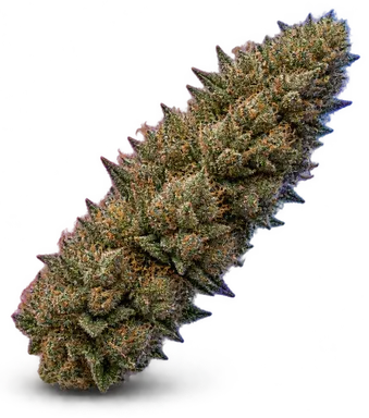 AI-generated illustration of a cannabis flower for the Cannabis Allstars page, not a photo of the strain