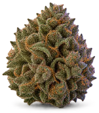 AI-generated illustration of a cannabis flower for the Capstone page, not a photo of the strain
