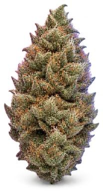 AI-generated illustration of a cannabis flower for the Cara Cara page, not a photo of the strain