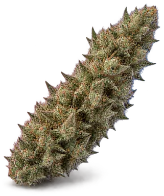 AI-generated illustration of a cannabis flower for the Carbon Fiber page, not a photo of the strain