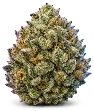 AI-generated illustration of a cannabis flower for the Caribbean Cookies A page, not a photo of the strain