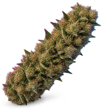 AI-generated illustration of a cannabis flower for the Carmelo page, not a photo of the strain