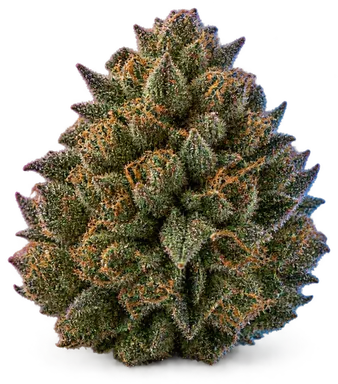 AI-generated illustration of a cannabis flower for the Carson City Kush page, not a photo of the strain