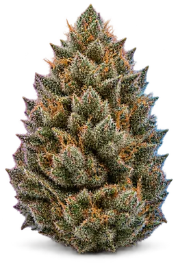 AI-generated illustration of a cannabis flower for the Cbdiesel page, not a photo of the strain