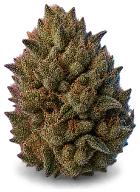 AI-generated illustration of a cannabis flower for the Cdawg Kush page, not a photo of the strain