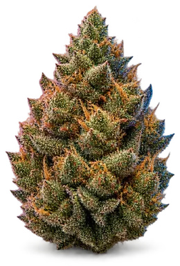 AI-generated illustration of a cannabis flower for the Cement Shoes page, not a photo of the strain