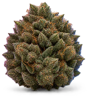 AI-generated illustration of a cannabis flower for the Chem 91 page, not a photo of the strain