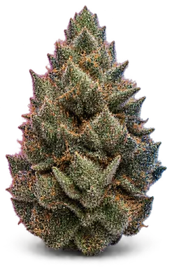 AI-generated illustration of a cannabis flower for the Chem Bow page, not a photo of the strain