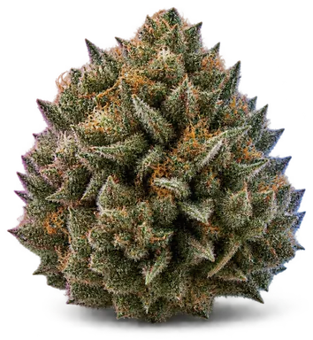 AI-generated illustration of a cannabis flower for the Chem Chills page, not a photo of the strain