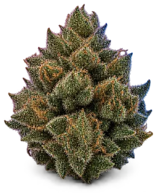AI-generated illustration of a cannabis flower for the Chem D page, not a photo of the strain