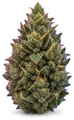 AI-generated illustration of a cannabis flower for the Chemdawg page, not a photo of the strain