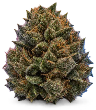 AI-generated illustration of a cannabis flower for the Chem Dawg 4 Swc page, not a photo of the strain