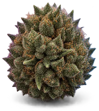 AI-generated illustration of a cannabis flower for the Chemdog 4 page, not a photo of the strain