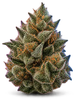 AI-generated illustration of a cannabis flower for the Chemfernando Valley page, not a photo of the strain