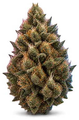 AI-generated illustration of a cannabis flower for the Chemtrails page, not a photo of the strain
