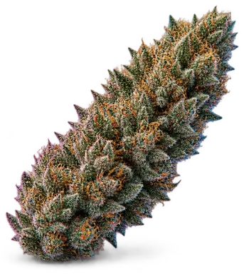 AI-generated illustration of a cannabis flower for the 91 Chem Va Skunk page, not a photo of the strain