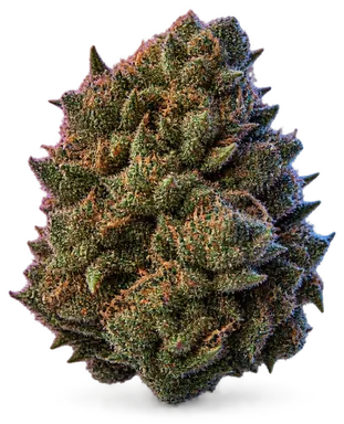 AI-generated illustration of a cannabis flower for the Chem Wave page, not a photo of the strain