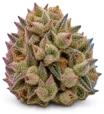 AI-generated illustration of a cannabis flower for the Cherry Bon Bon page, not a photo of the strain