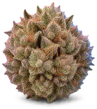 AI-generated illustration of a cannabis flower for the Cherry Burger page, not a photo of the strain