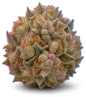 AI-generated illustration of a cannabis flower for the Cherry Chem page, not a photo of the strain
