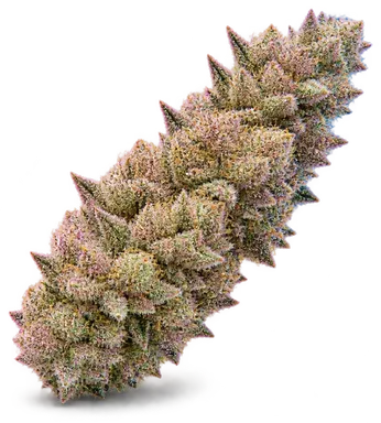AI-generated illustration of a cannabis flower for the Cherry Cream Pie page, not a photo of the strain