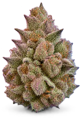 AI-generated illustration of a cannabis flower for the Cherry Diesel page, not a photo of the strain