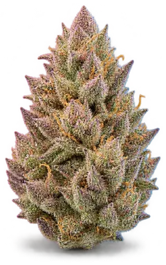 AI-generated illustration of a cannabis flower for the Cherry Driver page, not a photo of the strain