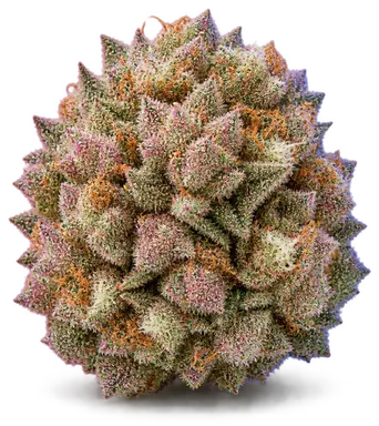 AI-generated illustration of a cannabis flower for the Cherry Lime Runtz page, not a photo of the strain