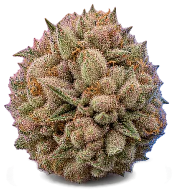 AI-generated illustration of a cannabis flower for the Cherry Nova page, not a photo of the strain
