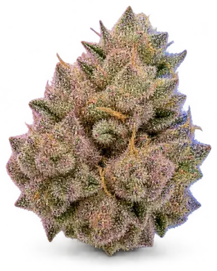 AI-generated illustration of a cannabis flower for the Cherry Tree page, not a photo of the strain