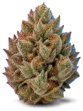 AI-generated illustration of a cannabis flower for the Chimera page, not a photo of the strain