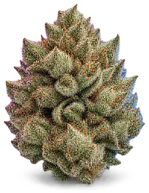 AI-generated illustration of a cannabis flower for the Choka Cola page, not a photo of the strain