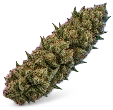 AI-generated illustration of a cannabis flower for the Cinnamon Girl page, not a photo of the strain
