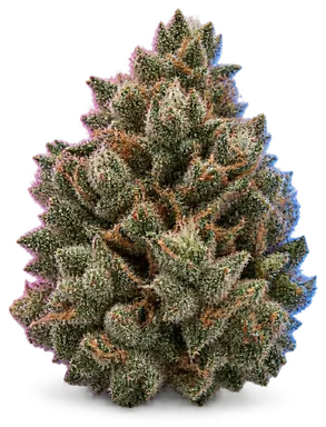 AI-generated illustration of a cannabis flower for the Citral Glue page, not a photo of the strain