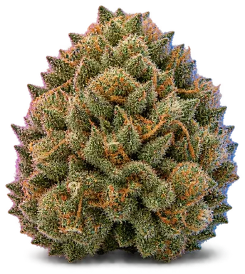 AI-generated illustration of a cannabis flower for the Citrus Farmer page, not a photo of the strain