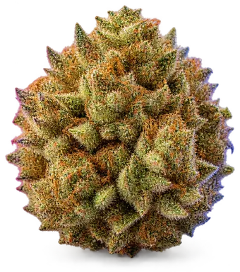 AI-generated illustration of a cannabis flower for the Citrus Splash Candied Orange Pheno page, not a photo of the strain