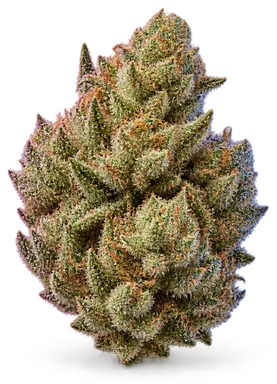 AI-generated illustration of a cannabis flower for the Clean Freak page, not a photo of the strain