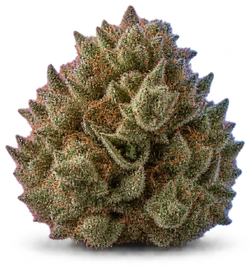 AI-generated illustration of a cannabis flower for the Clementine page, not a photo of the strain