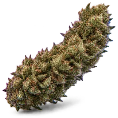 AI-generated illustration of a cannabis flower for the Coco Pebbles page, not a photo of the strain
