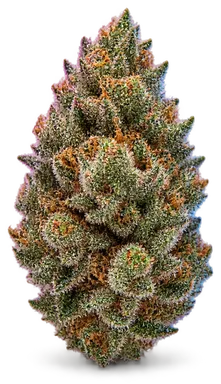 AI-generated illustration of a cannabis flower for the Code Red page, not a photo of the strain