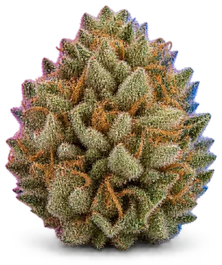 AI-generated illustration of a cannabis flower for the Cookie Crunch page, not a photo of the strain