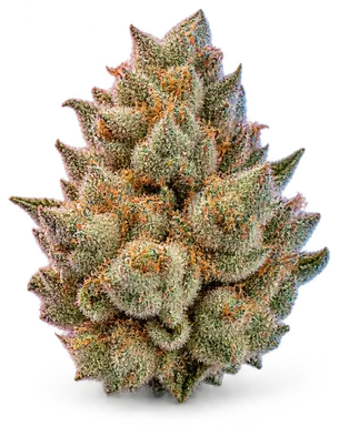 AI-generated illustration of a cannabis flower for the Cookies And Cream page, not a photo of the strain