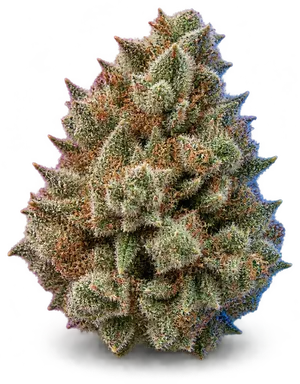 AI-generated illustration of a cannabis flower for the Cookies And Dream page, not a photo of the strain