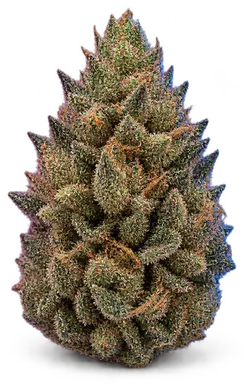 AI-generated illustration of a cannabis flower for the Cookies Punch page, not a photo of the strain