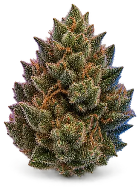 AI-generated illustration of a cannabis flower for the Copper Chem page, not a photo of the strain