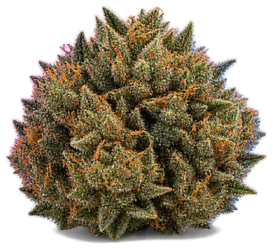 AI-generated illustration of a cannabis flower for the Crazy Glue page, not a photo of the strain