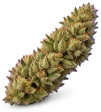 AI-generated illustration of a cannabis flower for the Creamsicle X Zkittlez Cake page, not a photo of the strain